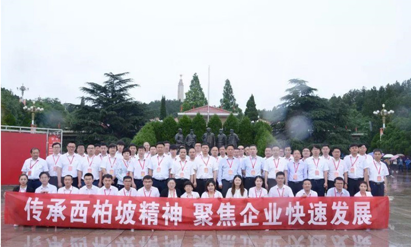 干部培训陷同质化困局 西柏坡IP党建培训破局出圈